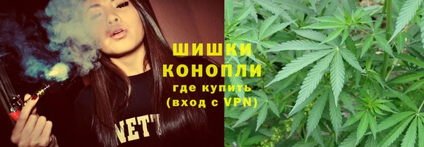 спайс Бородино