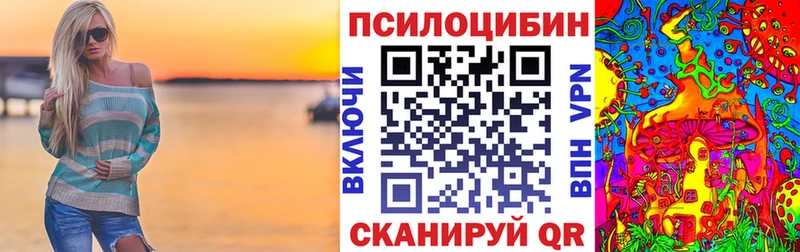 купить наркотики сайты  Новосокольники  Псилоцибиновые грибы Psilocybine cubensis 